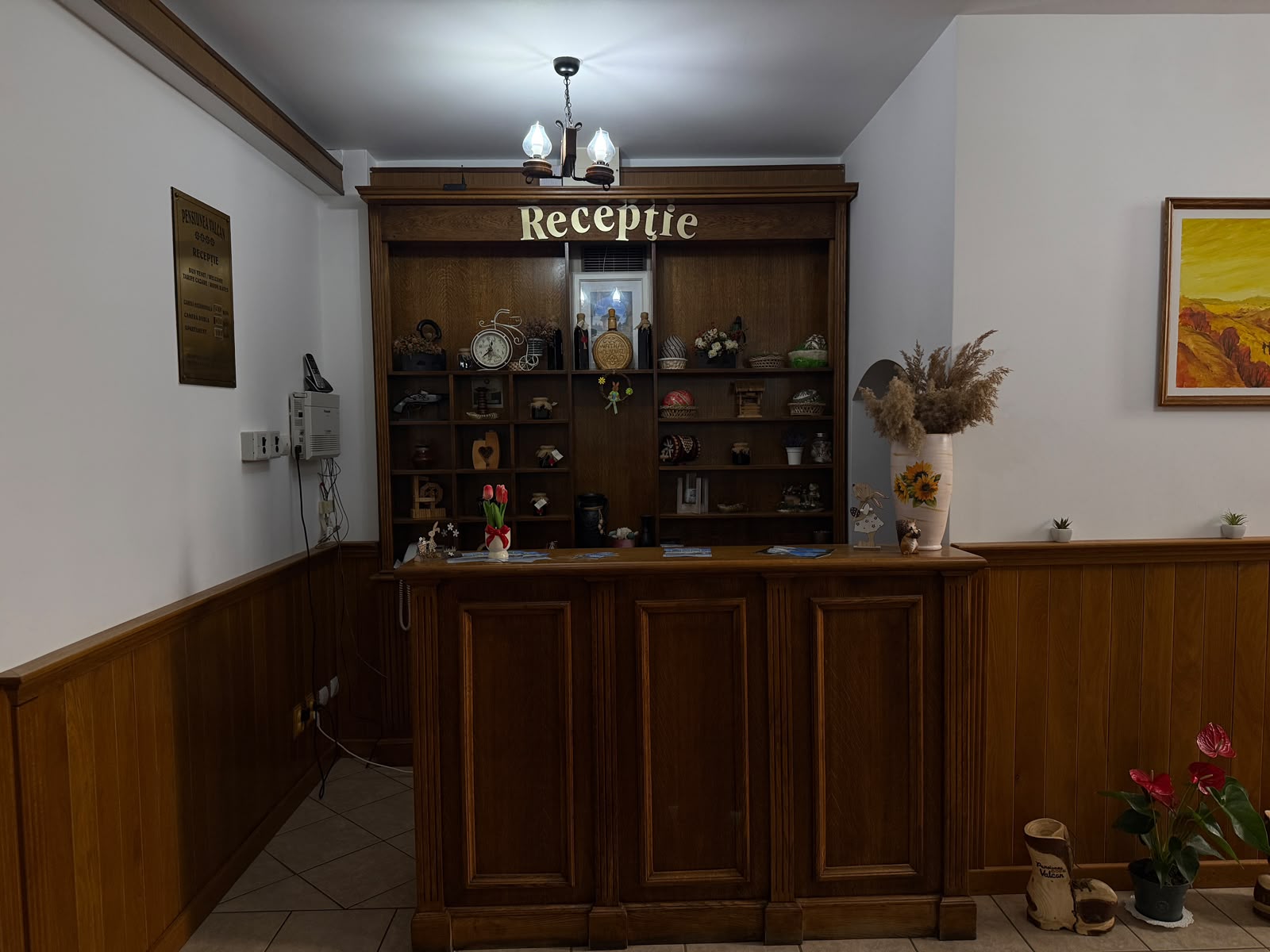 Galerie foto 1