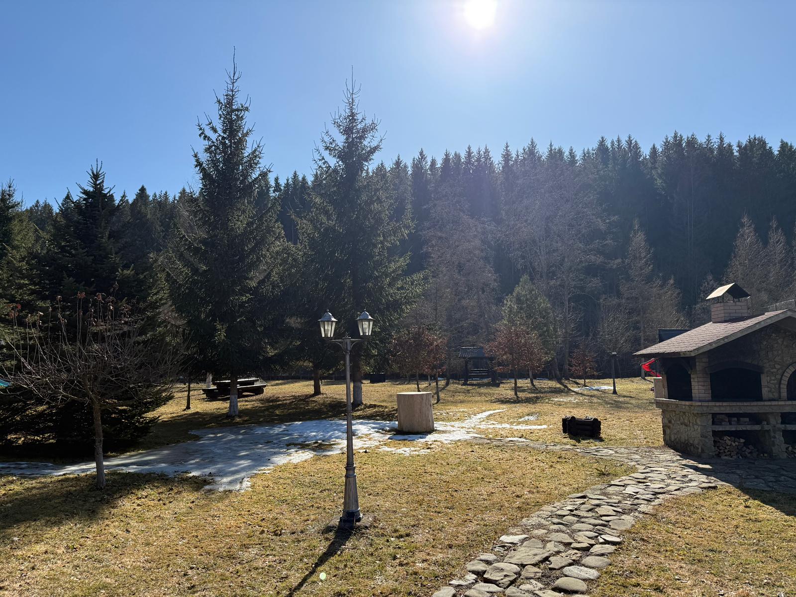 Galerie foto 10