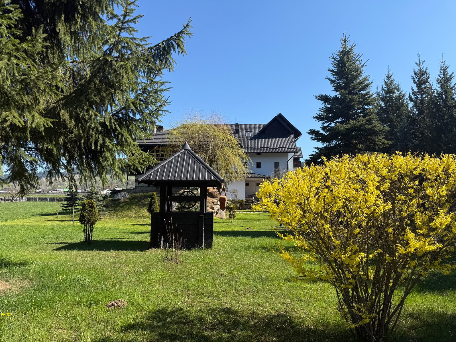 Galerie foto 2