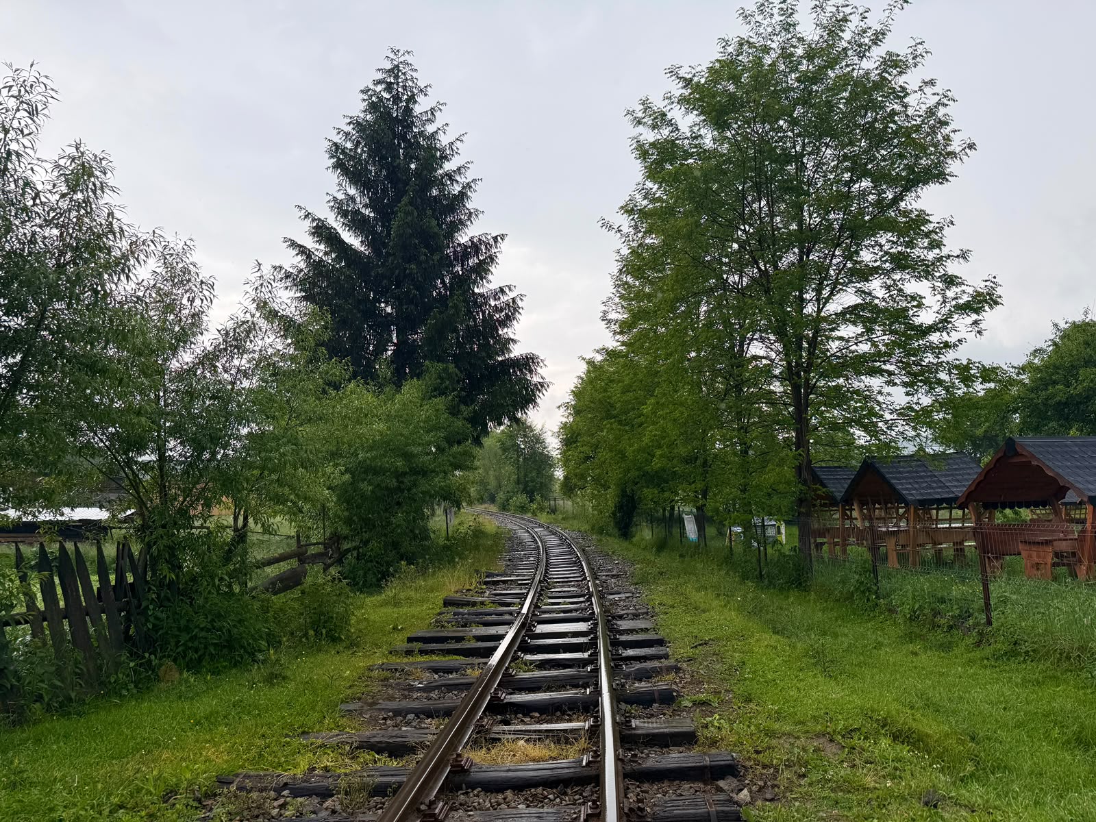 Galerie foto 5